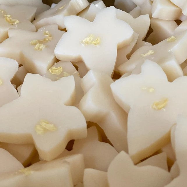 Ivy & Twine Mixed Box of 10 Wax Melts